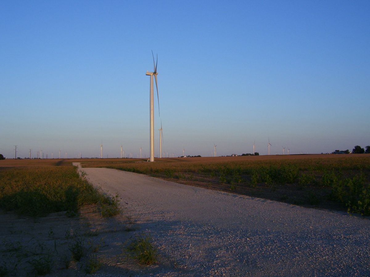 field outside Arrowsmith